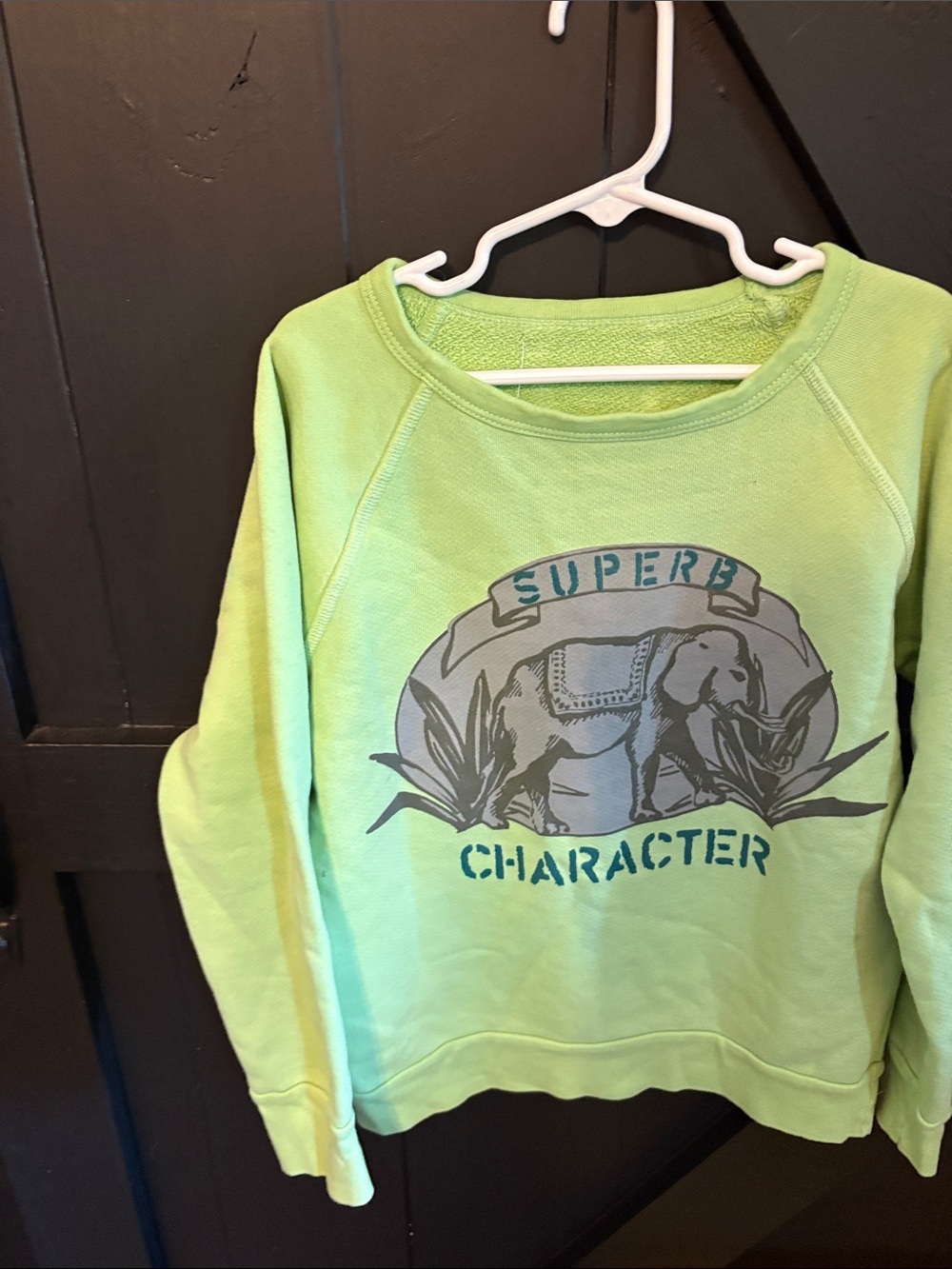 Lime Green Elephant Graphic Sweatshirt - "Superb Character"